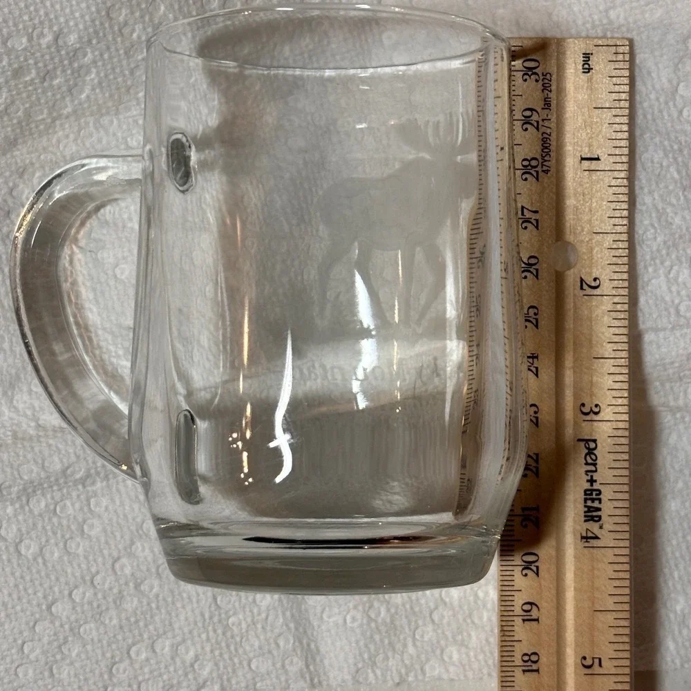 Rocky Mountain National Park Etched Moose Glass Beer Mug Stein‎ Clear Souvenir